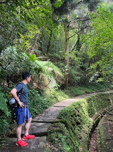 台北 陽明山 絹絲瀑布-擎天崗2722166