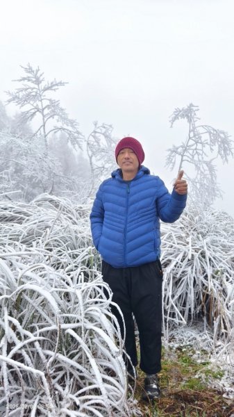 我的2025 第三場雪 #翠峰湖步道 #望洋山 #金翼白眉  2/92708854