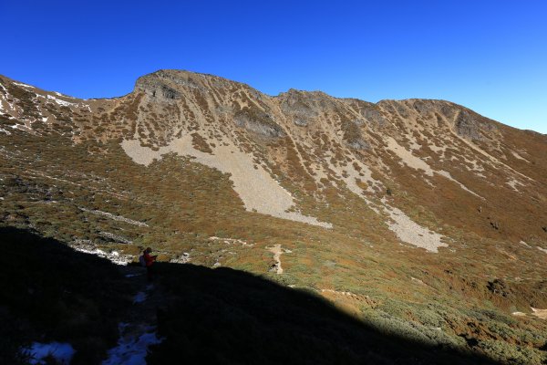 雪山‧甘木林山1250024