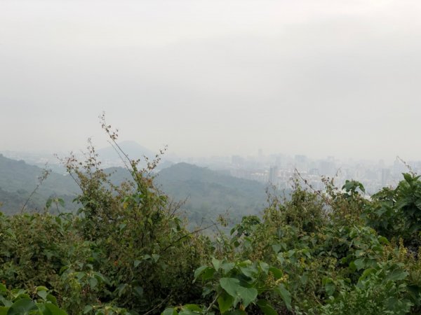 2020.04.02北柴山900715