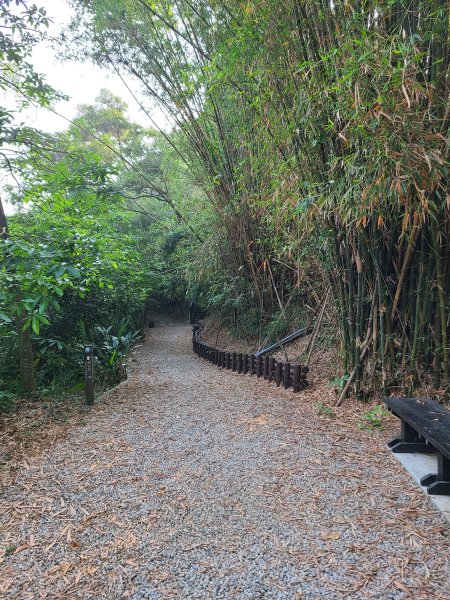 大坑6號上+8號探路+7號下2771421