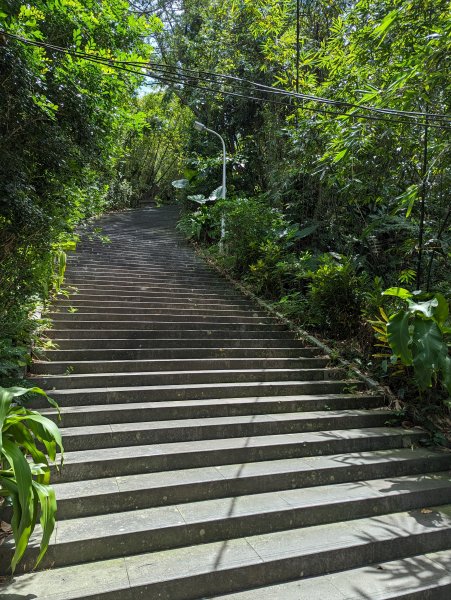 2023-08-26 臺北大縱走第七段2792802