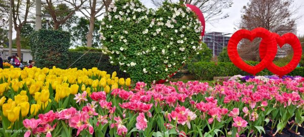 #士林官邸 #鬱金香 #中正紀念堂 #大漁櫻 2/283007867