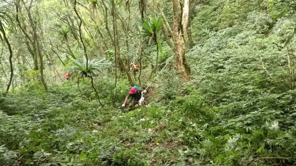 雙溪區烏山古道西線-大湖尾古道支線-大湖尾古道O型3098471