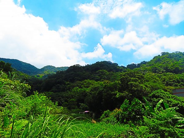 夏日水圳古道之旅：走坪頂古圳步道消暑去637431