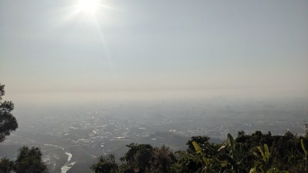 咬人狗坑登山步道 三汀山2046452