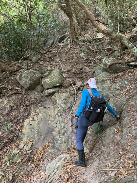 20260124屏東老佛山-老佛山南峰2992223