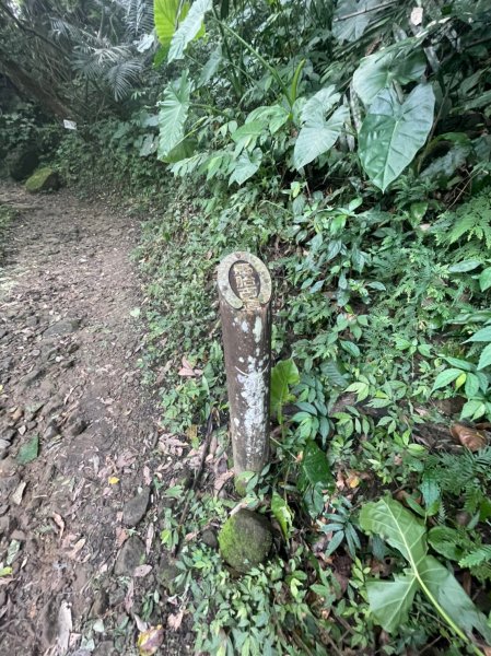 2022森遊竹縣 皮皮獅同樂會 - 馬胎古道 07091806776