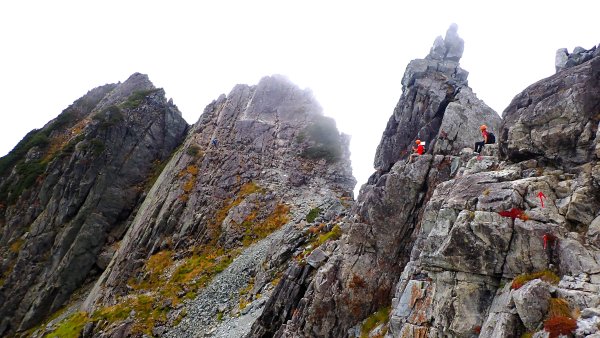 走在上帝翻落的調色盤上日本劍岳與立山連峰的山遊記2954065