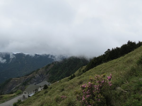 合歡山東峰-尖山-小奇萊-石門山2513032