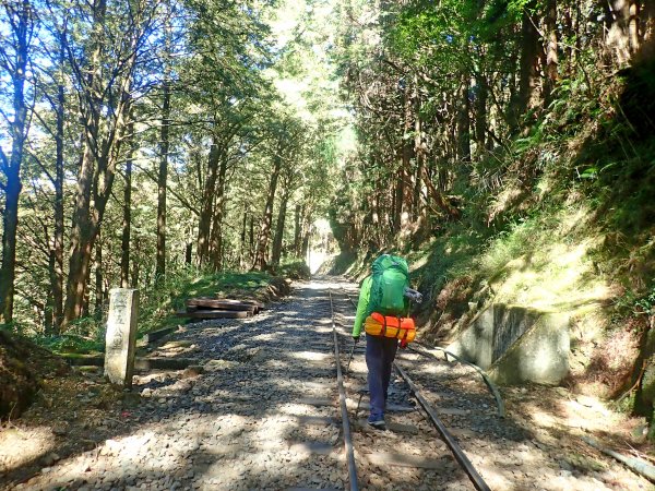 再訪眠月線 2019/11/23-24753037