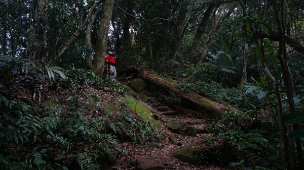 溪洲山 新溪洲山 石門水庫連走1304258