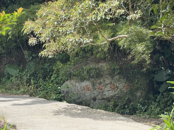2025/09/15 跑馬古道 鵲子山3041556
