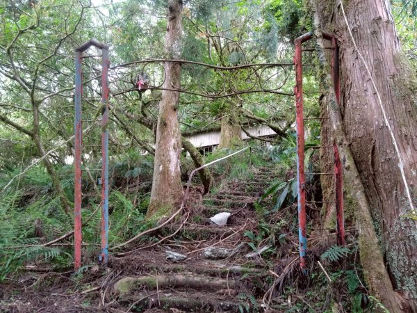 20250420古魯古道-大元山-大元國小2767397