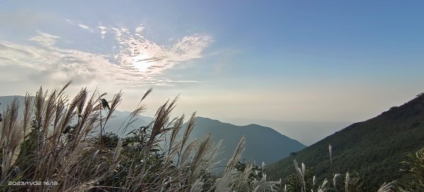 小觀音山西峰山嵐(雲海?)/觀音圈&夕陽/芒花&金剛(人猿)岩2334487