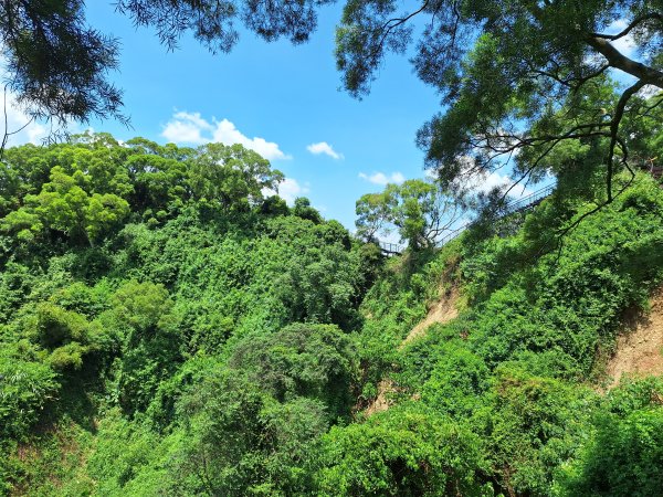 田中麒麟山森林步道202508172862026