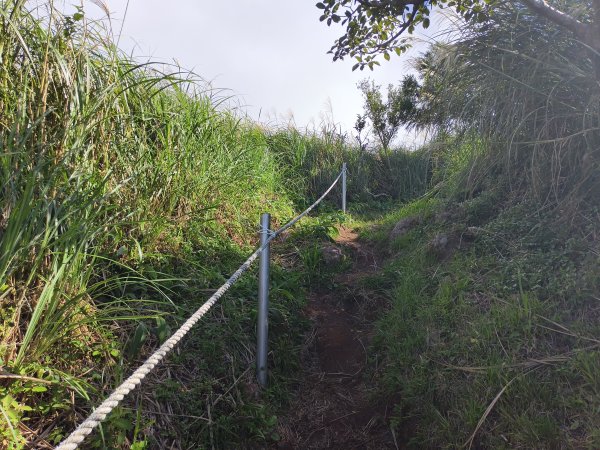 [百山百鳥尋旅-11/15] 2025_0927 大屯主峰-連峰步道_大屯山南峰2899389