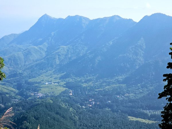 金柑樹山、忘憂森林步道-(南投)臺灣百大必訪步道