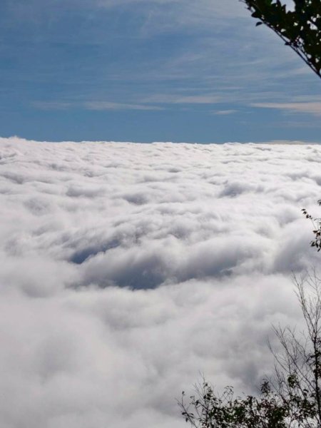 20251106北大武山步道☁️ 喜多麗雲海2931340
