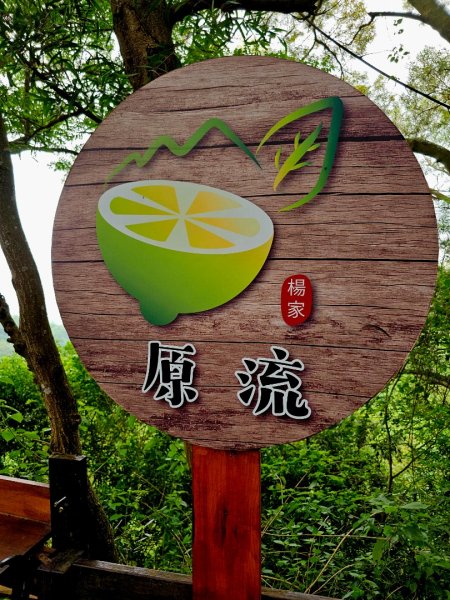 大坑9、10號步道-(台中)臺灣百大必訪步道2805941