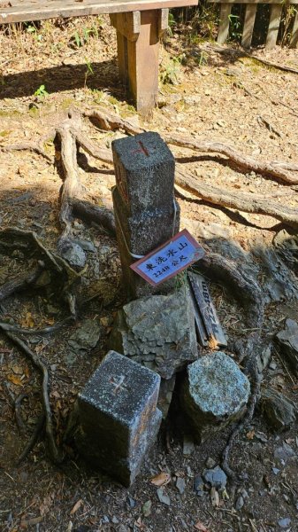 20251014雪見遊憩區 🚴‍♂️咖搭車走司馬限林道上東洗水山兩刷北坑山至大板根2916452