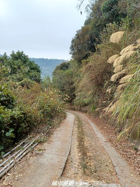 【南投國姓】兩個女生的山野包山行。 眉冷山步道x梅島山x眉冷山2066641