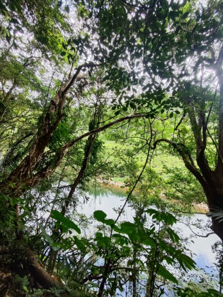 淡蘭古道第三段（我的淡蘭最終章）2838805