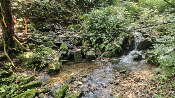 20260409四柑縱走3034418