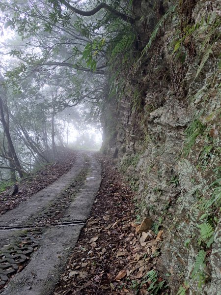 砂卡礑二日行D1：得卡倫步道→大禮部落→砂卡礑林道→立霧山→大同部落202312022368262