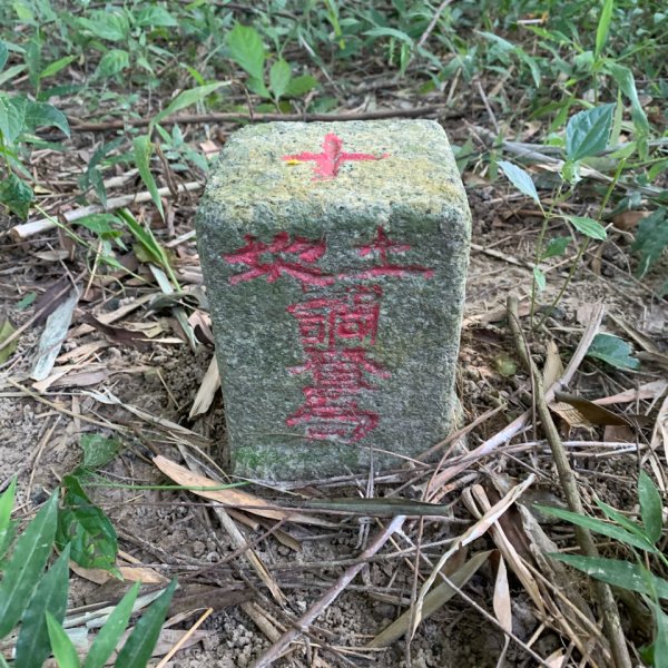 20251122高雄笠山-坦水衍山2945346