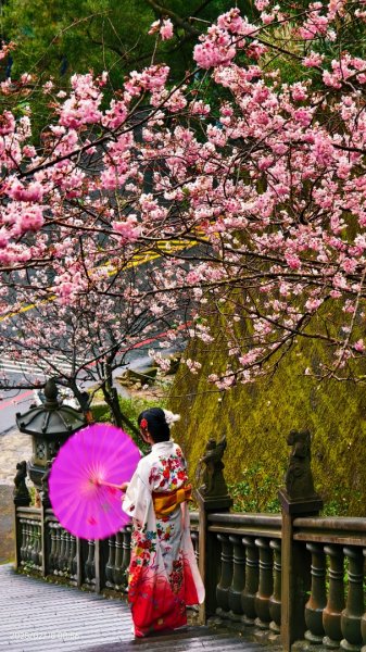 內湖碧山巖 2/182714783