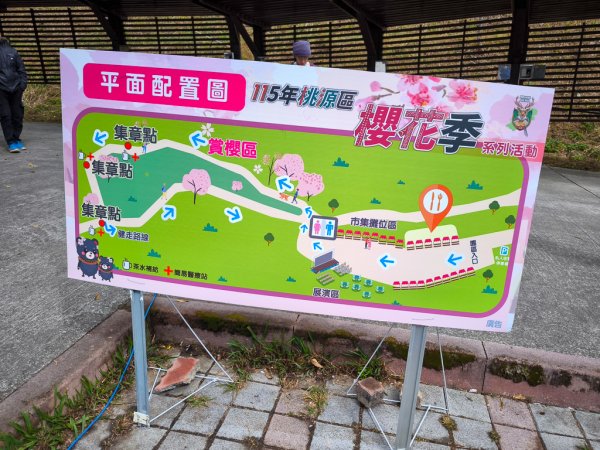 2026-02-08 藤枝山2998425