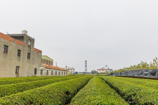 [南投]松柏坑山2683269