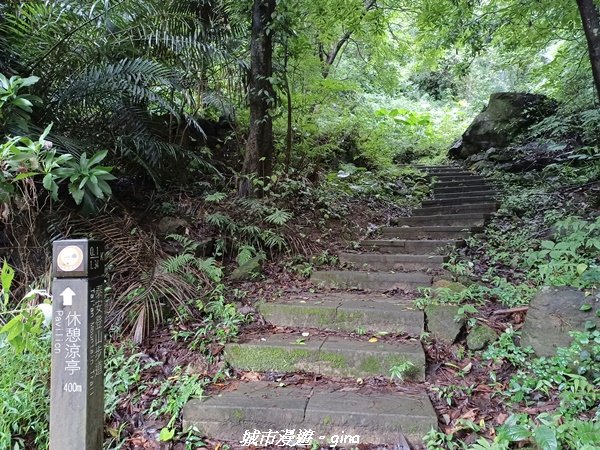 【台中后里】蓊鬱林間。 后里泰安登山步道1728750