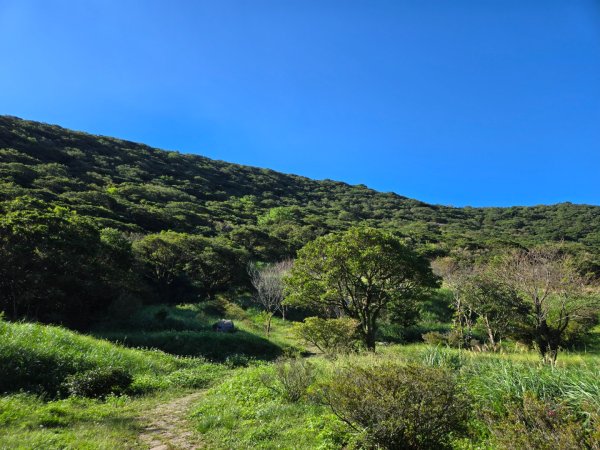 大屯主峰-連峰步道環形（小百岳）2904312