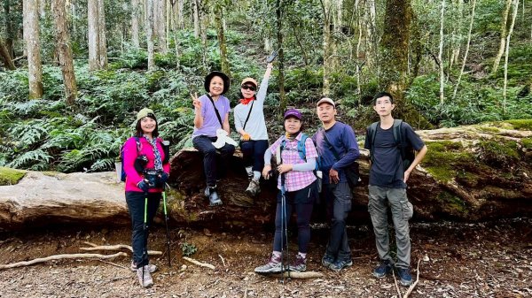 🌈11/9(日)高島縱走~高台山連走島田山山徑✨FB：熊熊趴爬走🌈2932505