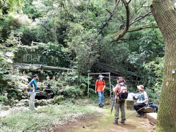 天母→猴洞→湖山→半嶺→第二展望台→龍鳳谷→民族公園→花博公園1445771