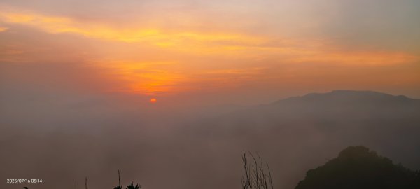 雲山水花鳥蝶-天龍國阿伯的日常 7/162838400