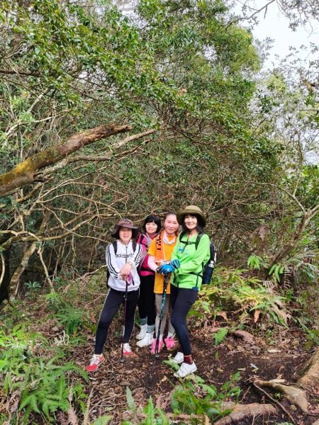 【苗栗泰安】中級山的大霸尖山。 虎山步道2779604