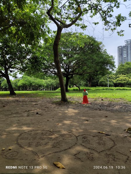 大安森林公園、安湖三號公園【走路趣尋寶，全臺齊步走】2530655