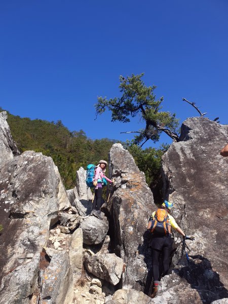 20200208德芙蘭接東南稜上東卯山838402