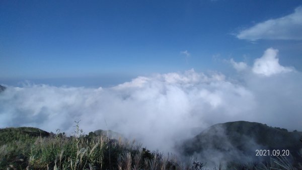 久違了 ! 陽明山再見雲海&觀音圈+夕陽&中秋月圓1463878