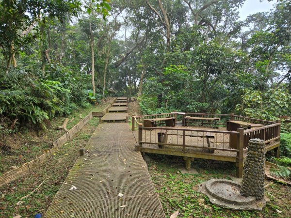 石硦林場（桶頭山）2991253