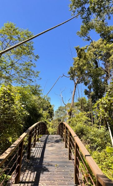 阿里山迷糊步道-福山古道2793512