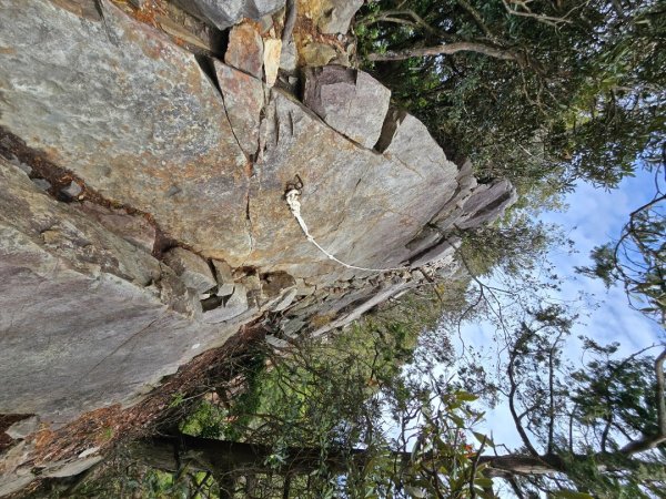 鳶嘴山+稍來神木2709855