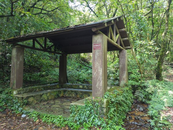 2025.04.27－金包里大路~小油坑縱走2770907