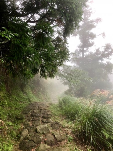 2018-10-25七星山東峰登山步道444021