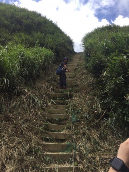 20190728聖母山莊-三角崙山637785