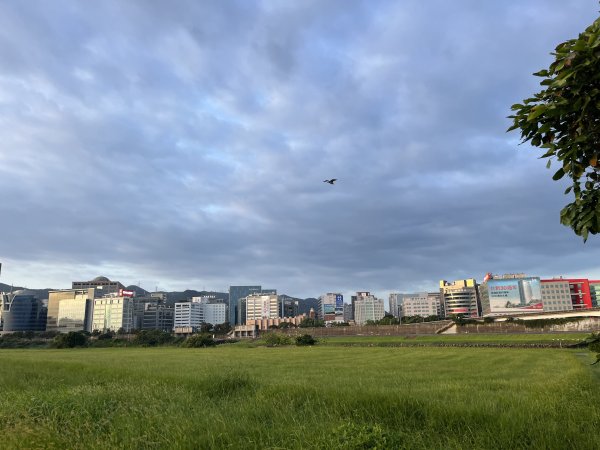 [跟著2025雙北世壯運探索雙北市-11/21] 2025_0615 逐浪輕艇徑（大佳河濱公園－基隆2815586