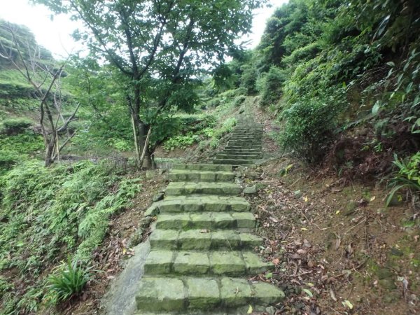 1070614茶山步道3099465